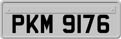 PKM9176