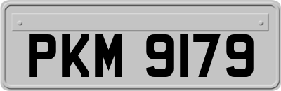 PKM9179