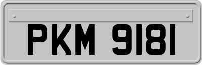 PKM9181