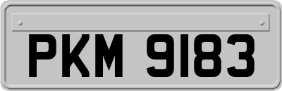 PKM9183