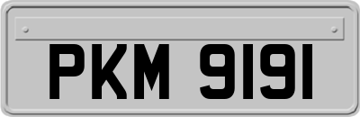 PKM9191