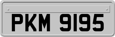 PKM9195