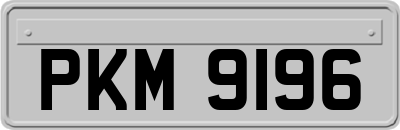PKM9196