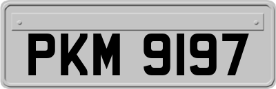 PKM9197