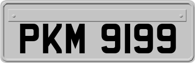 PKM9199