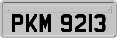 PKM9213