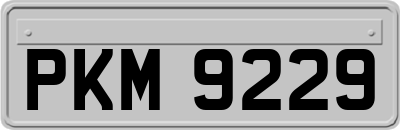 PKM9229
