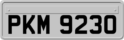 PKM9230