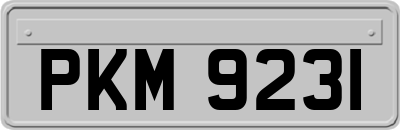 PKM9231