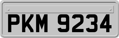 PKM9234