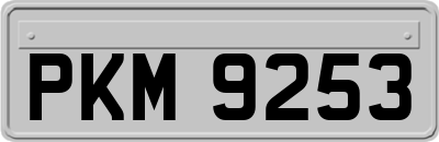 PKM9253