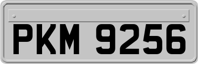PKM9256