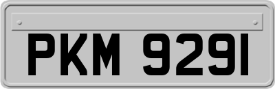 PKM9291