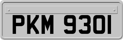 PKM9301