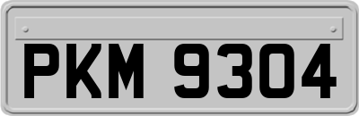 PKM9304