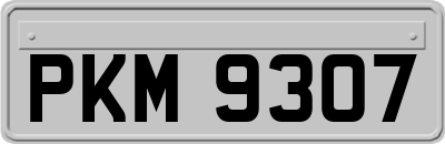 PKM9307