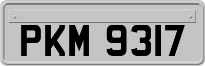 PKM9317
