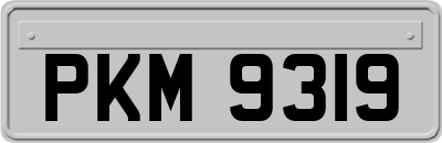 PKM9319