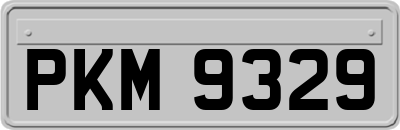 PKM9329