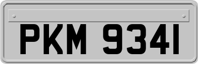 PKM9341