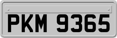 PKM9365