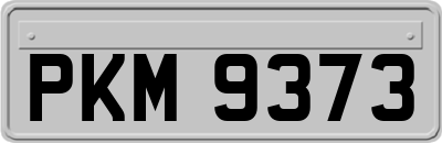PKM9373
