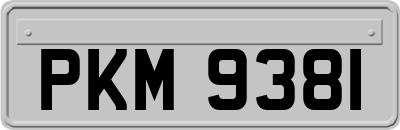 PKM9381
