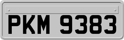 PKM9383