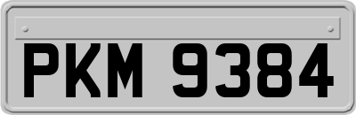 PKM9384