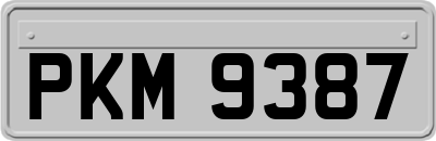PKM9387