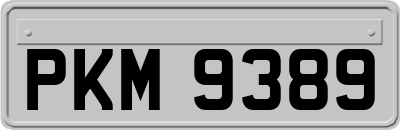 PKM9389