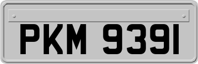 PKM9391