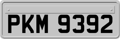 PKM9392