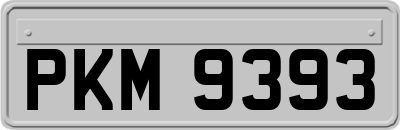 PKM9393