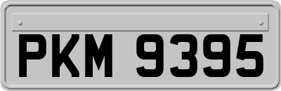 PKM9395