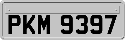 PKM9397
