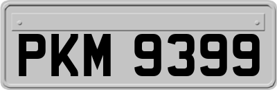 PKM9399