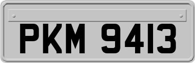 PKM9413