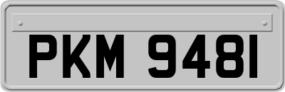 PKM9481