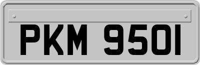 PKM9501