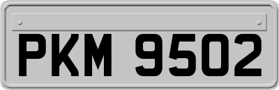 PKM9502