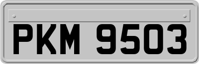 PKM9503