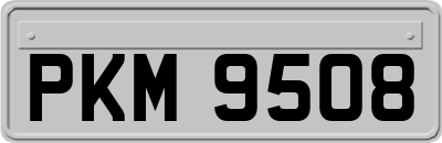 PKM9508