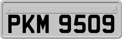 PKM9509