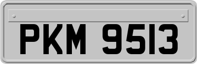 PKM9513