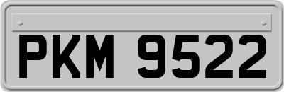 PKM9522