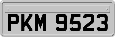 PKM9523