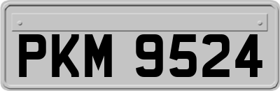PKM9524