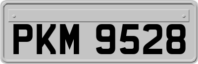 PKM9528