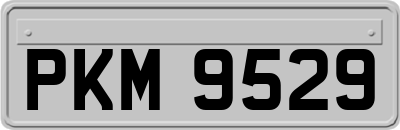 PKM9529